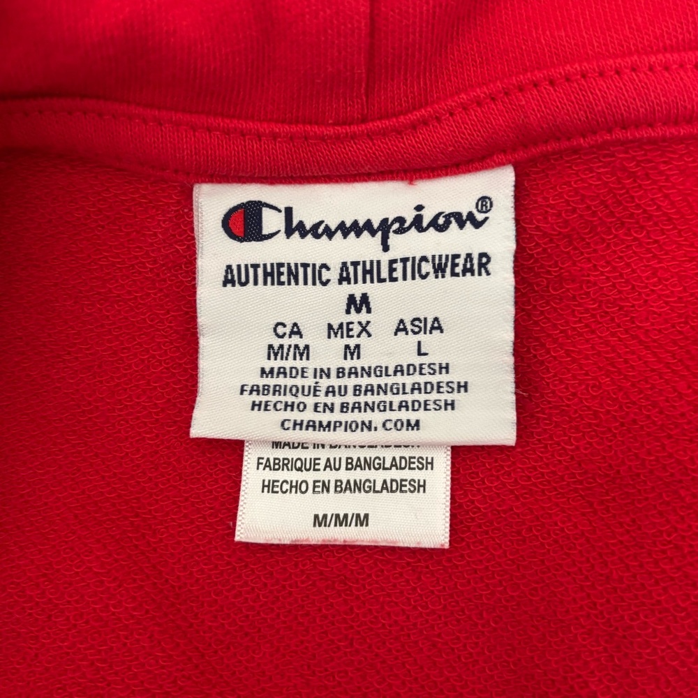 Champion University of Maryland UMD Hoodie with Terrapin Design and Logo - Picture 4 of 5